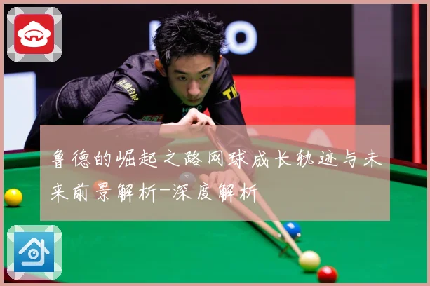 鲁德的崛起之路网球成长轨迹与未来前景解析-深度解析