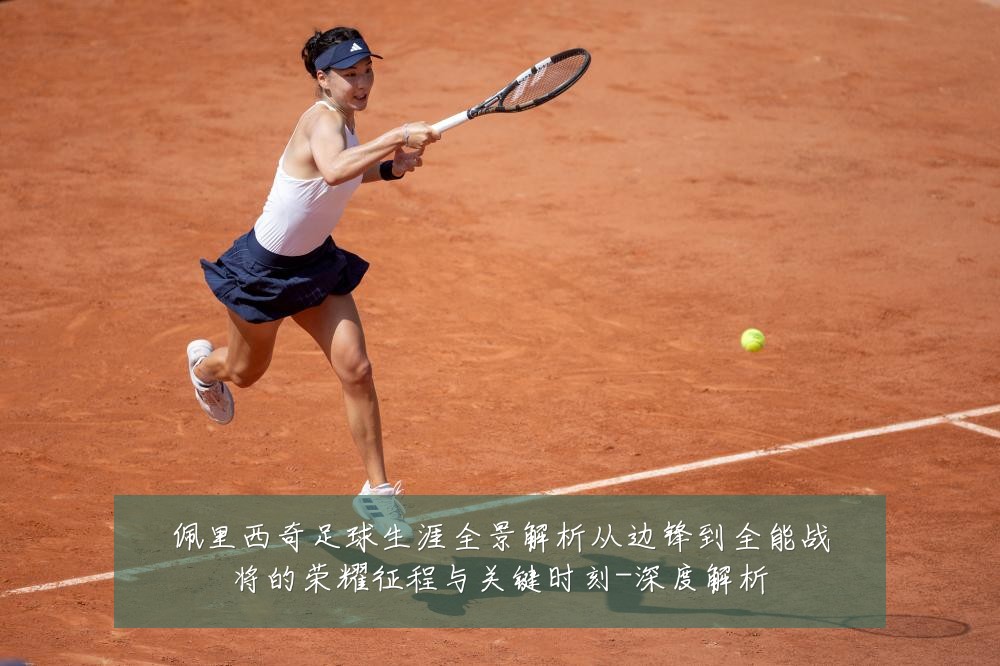 佩里西奇足球生涯全景解析从边锋到全能战将的荣耀征程与关键时刻-深度解析